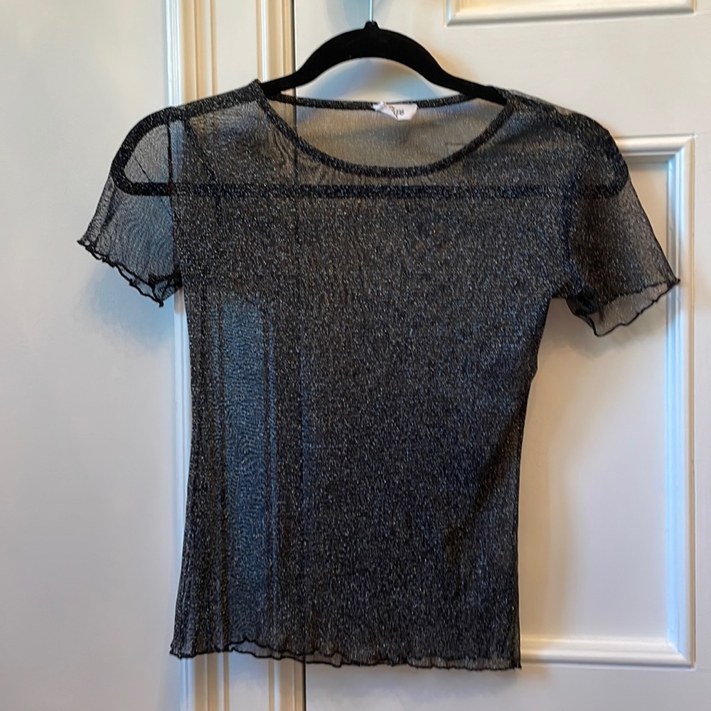 Sheer short sleeve sparkle top